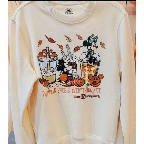 Disney Sweaters - Disney Parks Pumpkin Spice and Everything Nice Pullover Sweatshirt